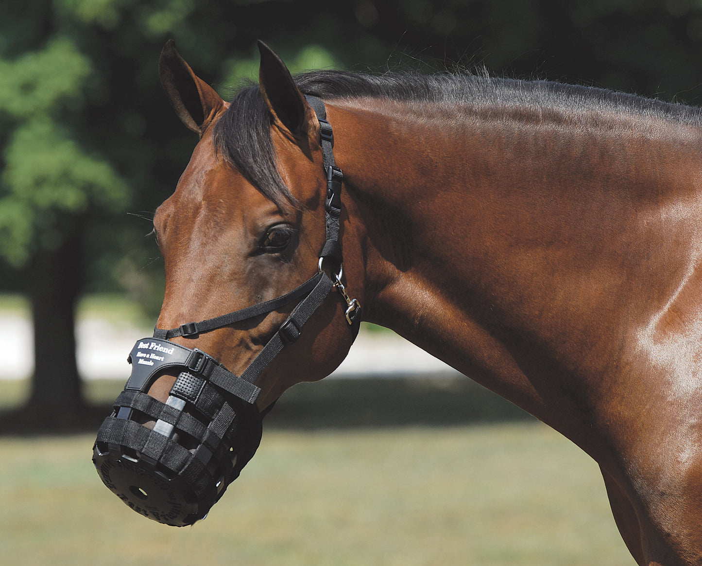 Best Friend Have-A-Heart Muzzle