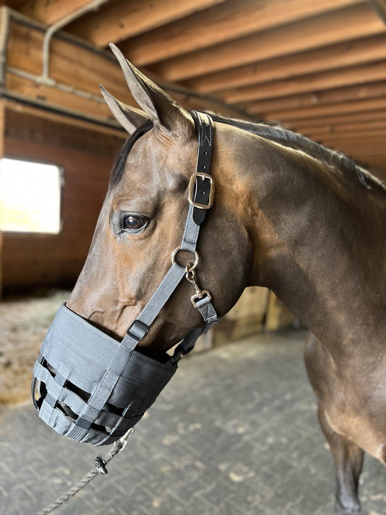 Best Friend Deluxe Grazing Muzzle with Leather Crown