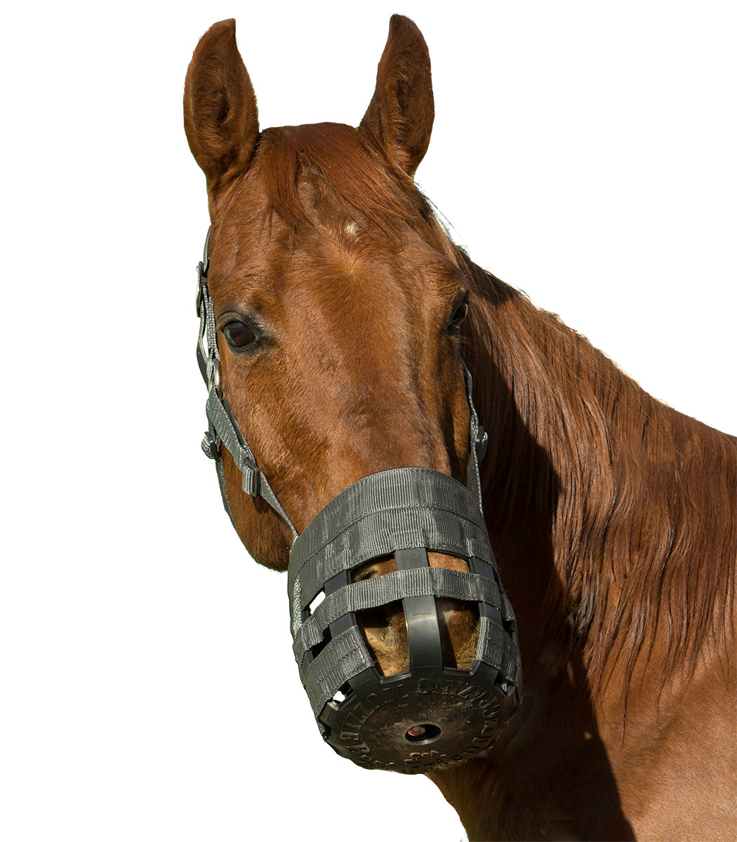 Best Friend Deluxe Grazing Muzzle with Leather Crown