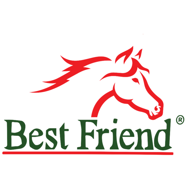 Best Friend Equine