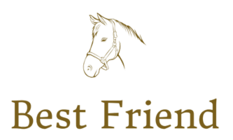 Best Friend Equine